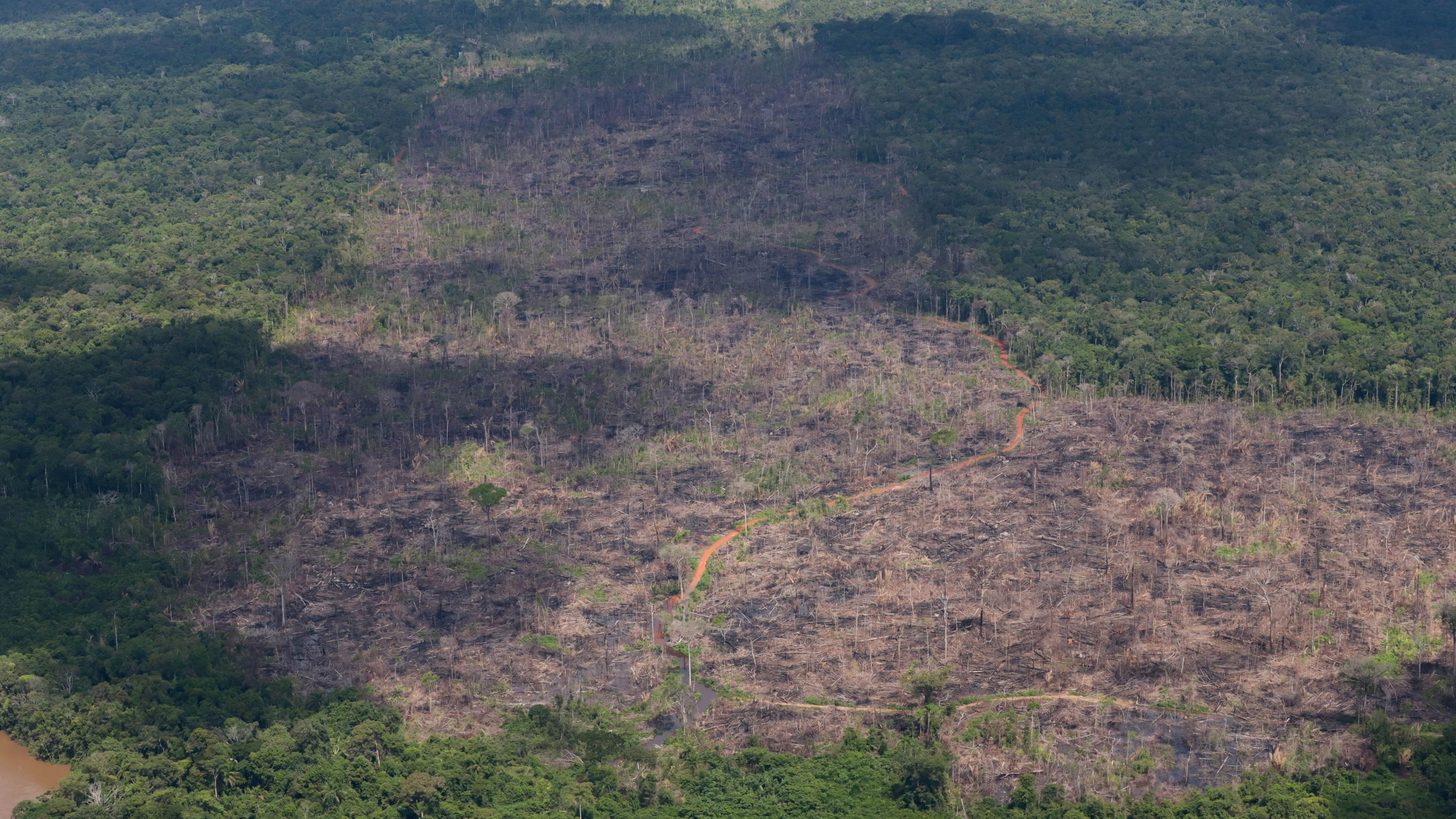 Luftblick auf eine abgeholzte Fläche des Regenwalds im Amazonasgebiet in Brasilien. (Archivbild)