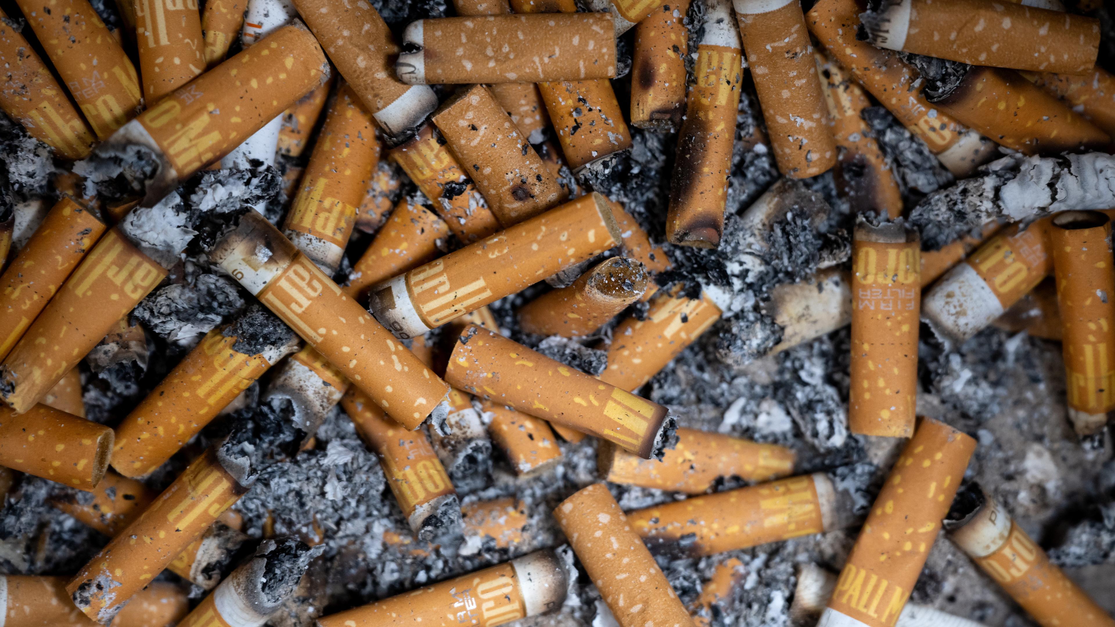Bayern, München: Zahlreiche Zigarettenkippen liegen in einem Aschenbecher.