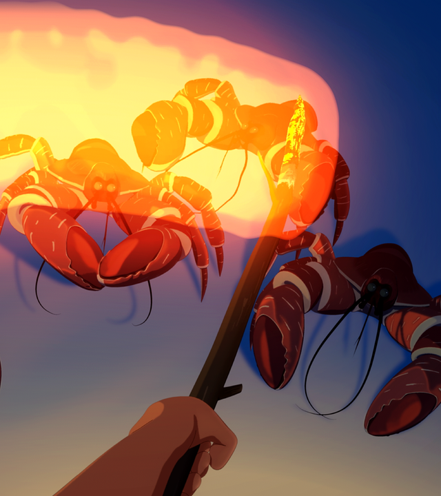 Im Fackelschein entdecken die Freunde Kokosnuss-Krabben am Strand.