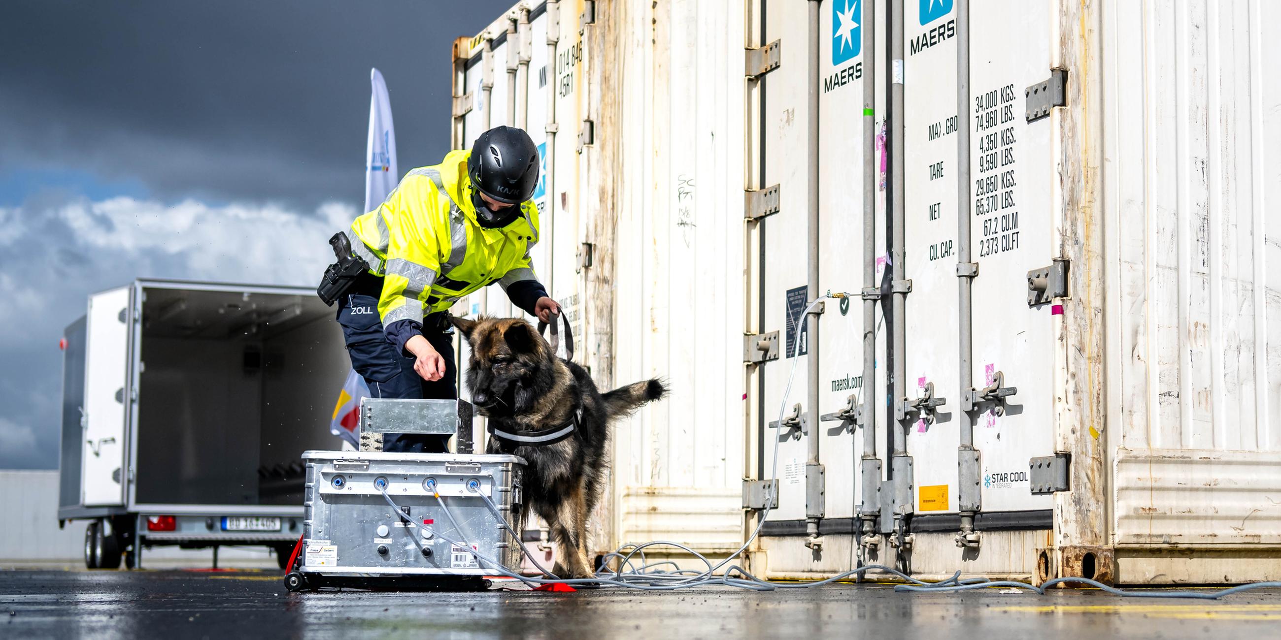 Ein Spürhund des Zolls kontrolliert die abgesaugte Luft aus einem Container.