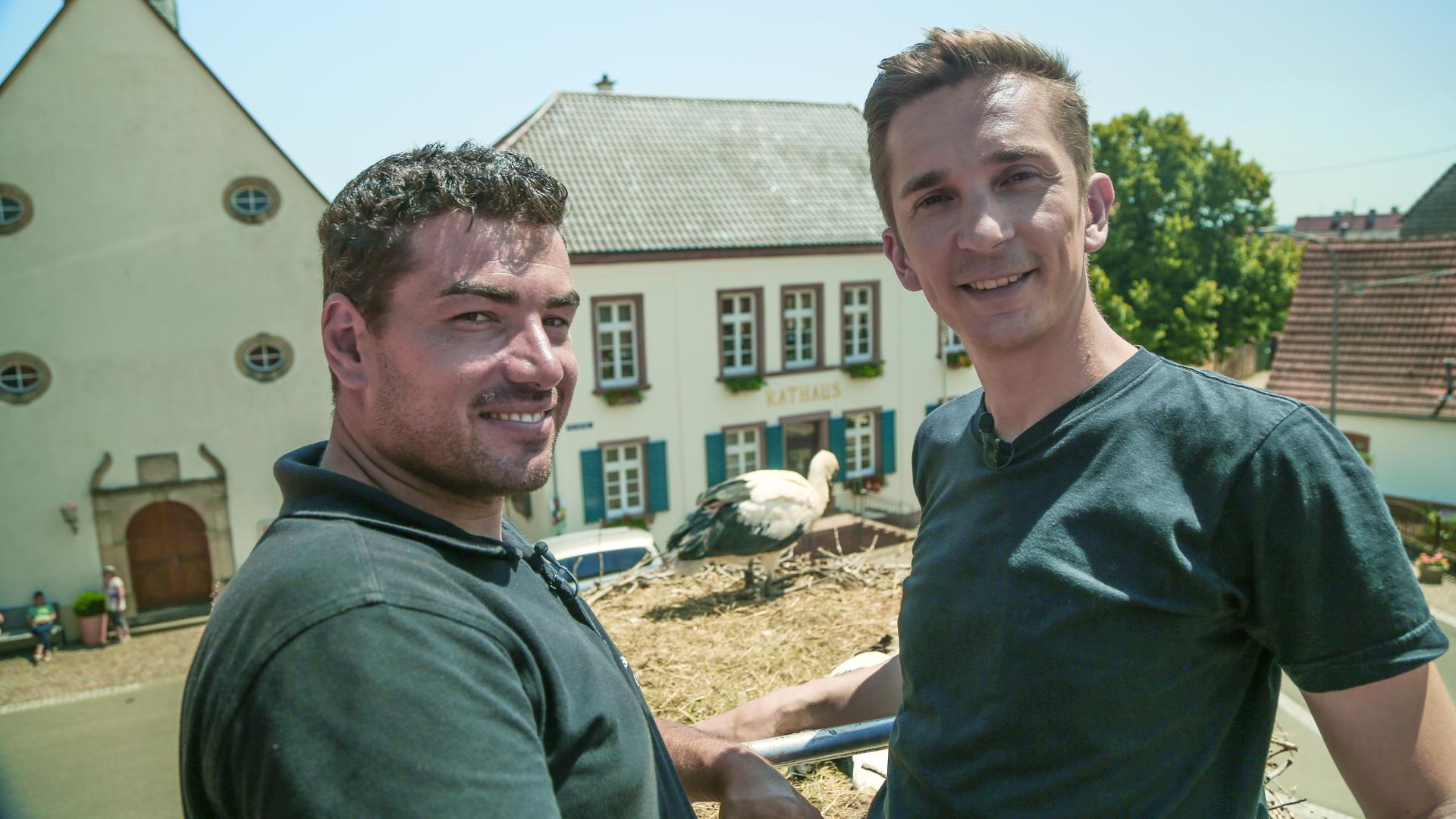 Eric hilft beim Beringen von Störchen