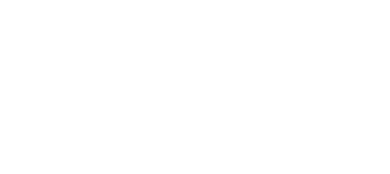 Zurück ans Meer