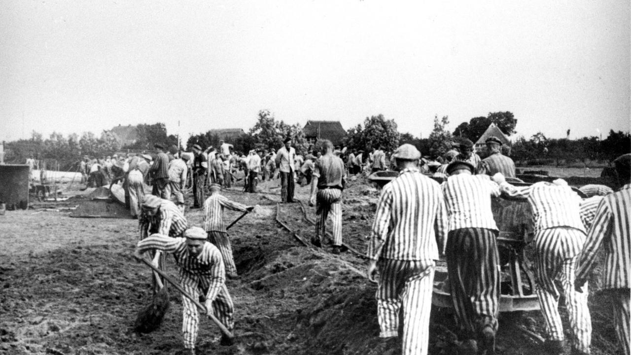 Zwangsarbeit ZDFmediathek