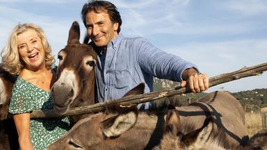 Filme - Zwei Esel Auf Sardinien
