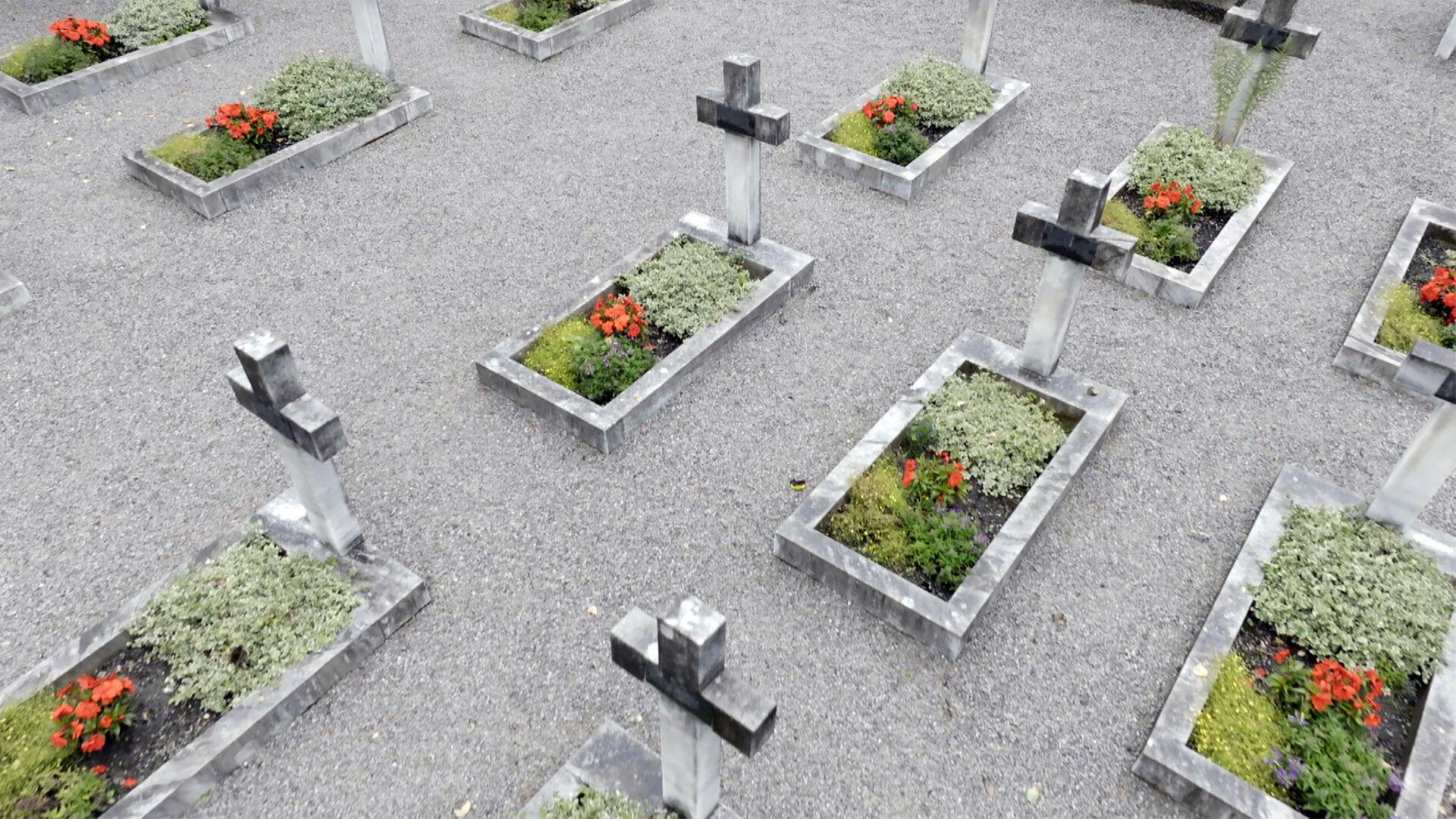 Das Bild zeigt einen Kosakenfriedhof in Lienz, Österreich. Die Aufnahme ist aus der Vogelperspektive und zeigt mehrere Gräber, die mit steinernen Kreuzen markiert sind. Jedes Grab ist rechteckig und mit Blumen dekoriert, darunter rote Blüten und verschiedene grüne Pflanzen. Der Boden ist mit grauem Kies bedeckt, wodurch die Gräber klar voneinander abgegrenzt sind. Die Kreuze sind aus einem hellen Steinmaterial und haben teilweise eine leicht angeraute Oberfläche. Der gesamte Bereich wirkt gepflegt und respektvoll gestaltet.