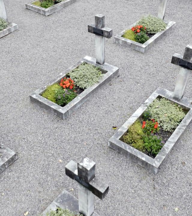 Das Bild zeigt einen Kosakenfriedhof in Lienz, Österreich. Die Aufnahme ist aus der Vogelperspektive und zeigt mehrere Gräber, die mit steinernen Kreuzen markiert sind. Jedes Grab ist rechteckig und mit Blumen dekoriert, darunter rote Blüten und verschiedene grüne Pflanzen. Der Boden ist mit grauem Kies bedeckt, wodurch die Gräber klar voneinander abgegrenzt sind. Die Kreuze sind aus einem hellen Steinmaterial und haben teilweise eine leicht angeraute Oberfläche. Der gesamte Bereich wirkt gepflegt und respektvoll gestaltet.